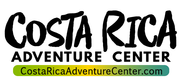 Costa Rica Online Adventure