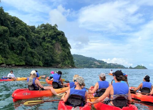 Sea Kayak & Snorkeling