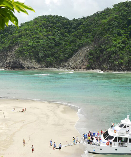 Bay Island - Tortuga Island