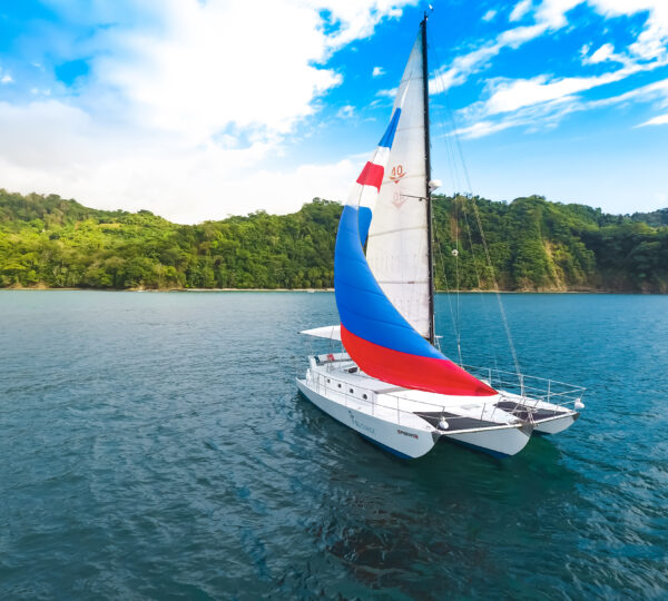 Playa Fantasia Catamaran