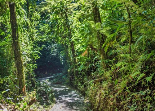 Monteverde Cloud Forest Adventure