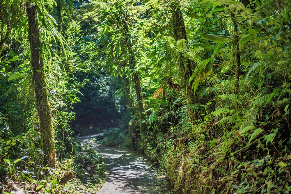 Monteverde Cloud Forest Adventure