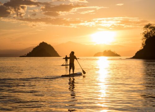 Stand Up Paddle Board