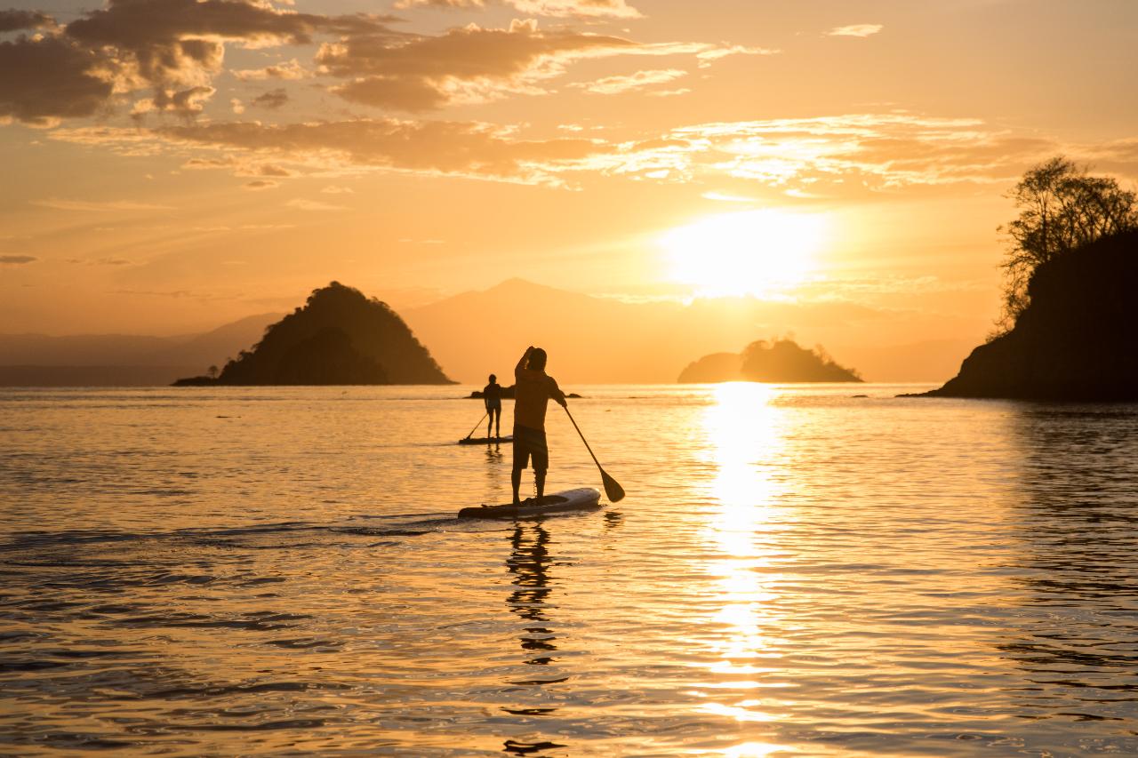 Stand Up Paddle Board