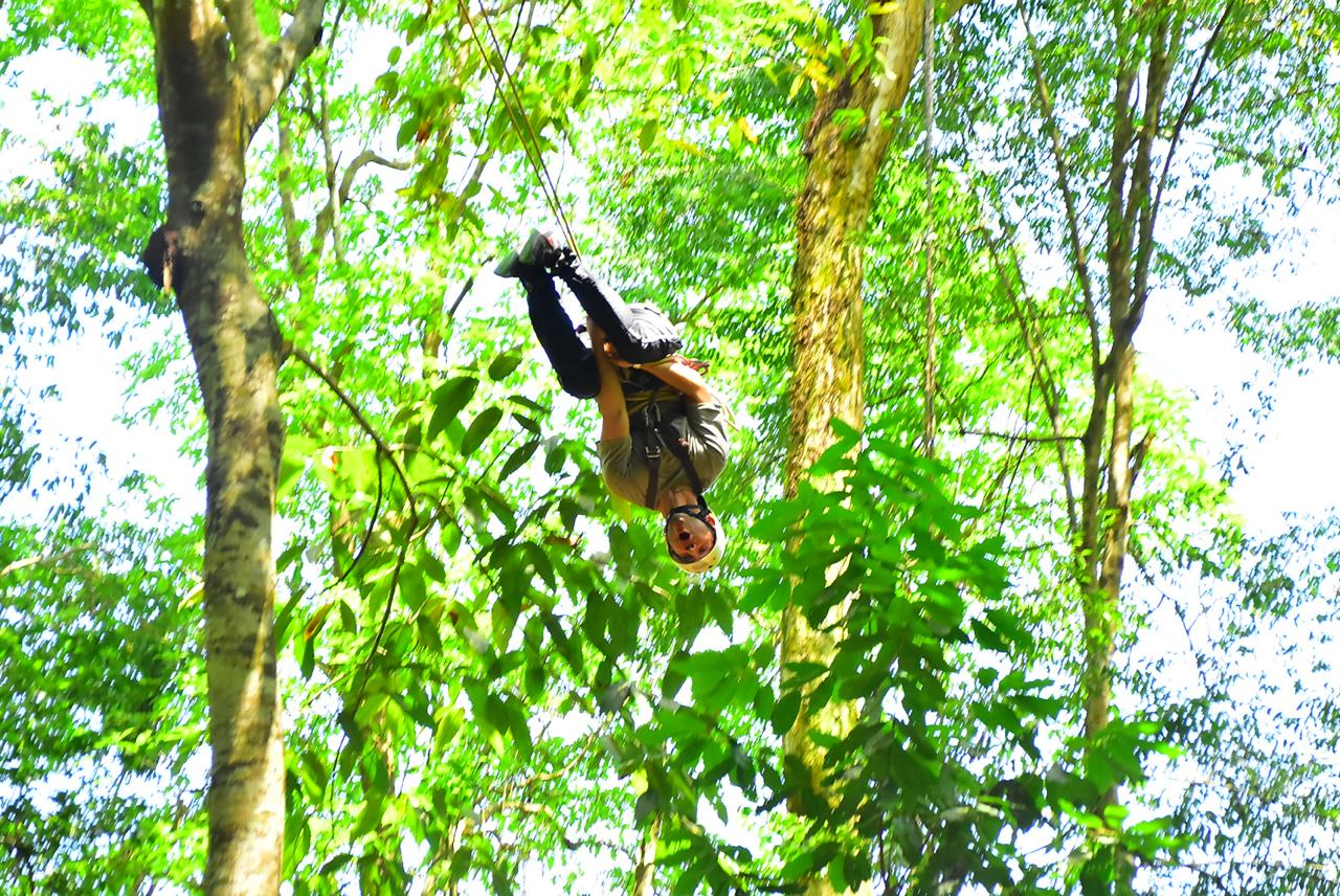 Jaco Tarzan Swing