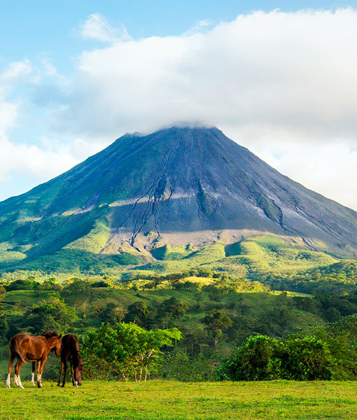 La Fortuna