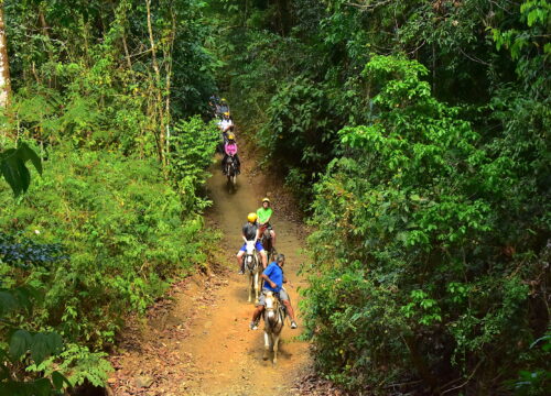 Horseback Riding & Natural Pool