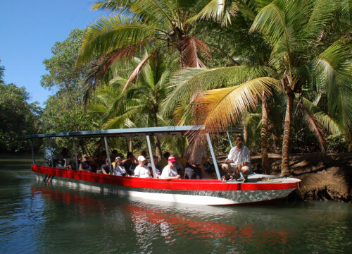 Isla Damas Mangrove Boat Tour