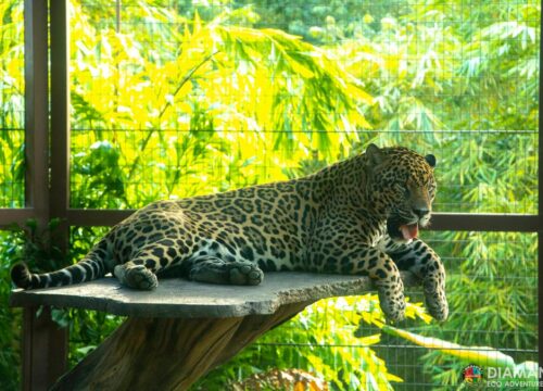 Guanacaste Wildlife Sanctuary