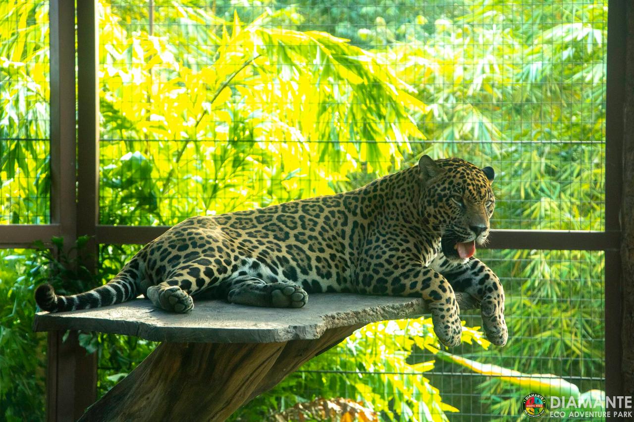 Guanacaste Wildlife Sanctuary
