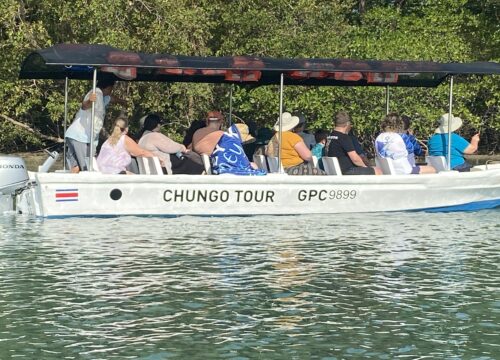 Tamarindo Mangrove Boat Tour