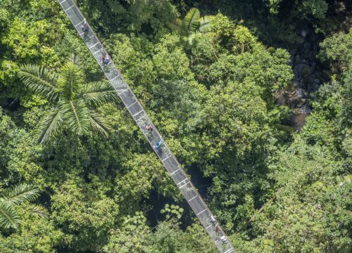 Arenal Hanging Bridges