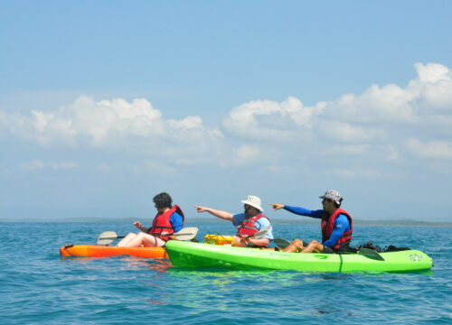 Ocean Kayak & Snorkeling