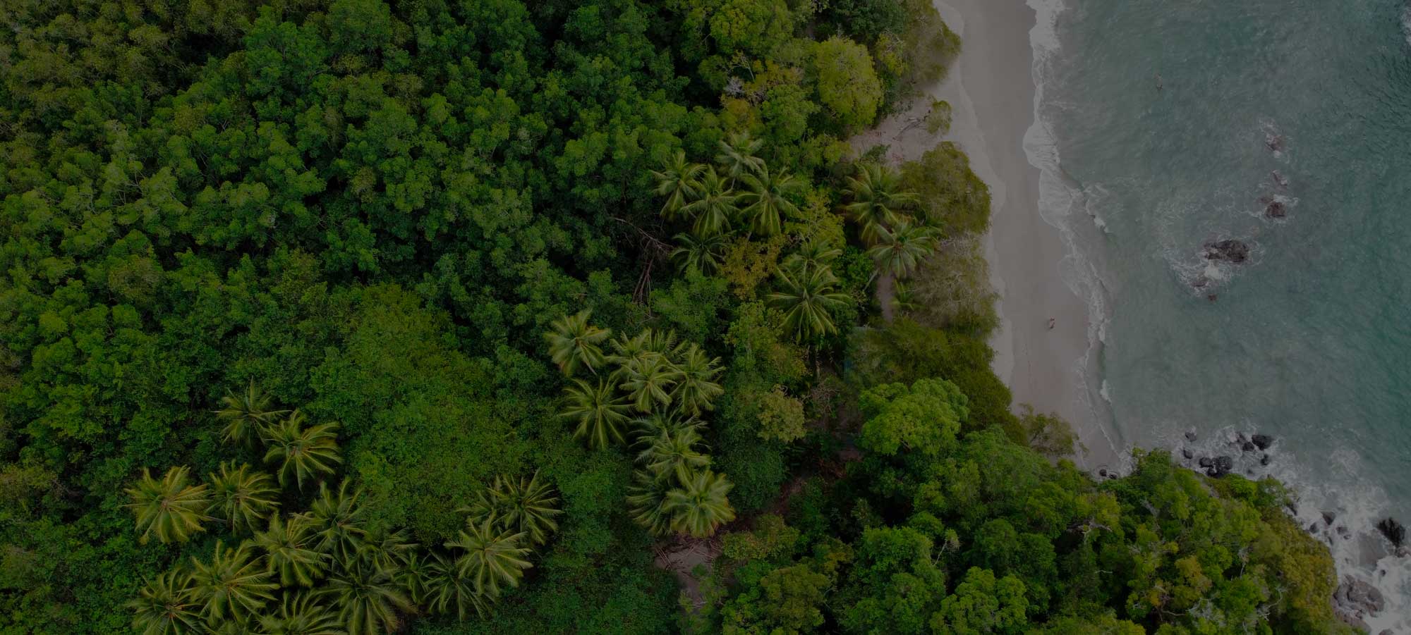 Manuel Antonio