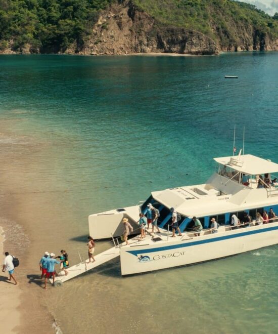 Tortuga Island - Half Day Costa Cat III